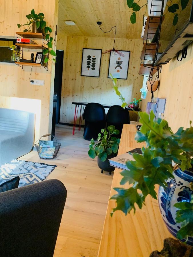 Hjem - Tiny Homes Direkt Am Wald Zwischen Allgaeu & Bodensee Bergatreute Ngoại thất bức ảnh