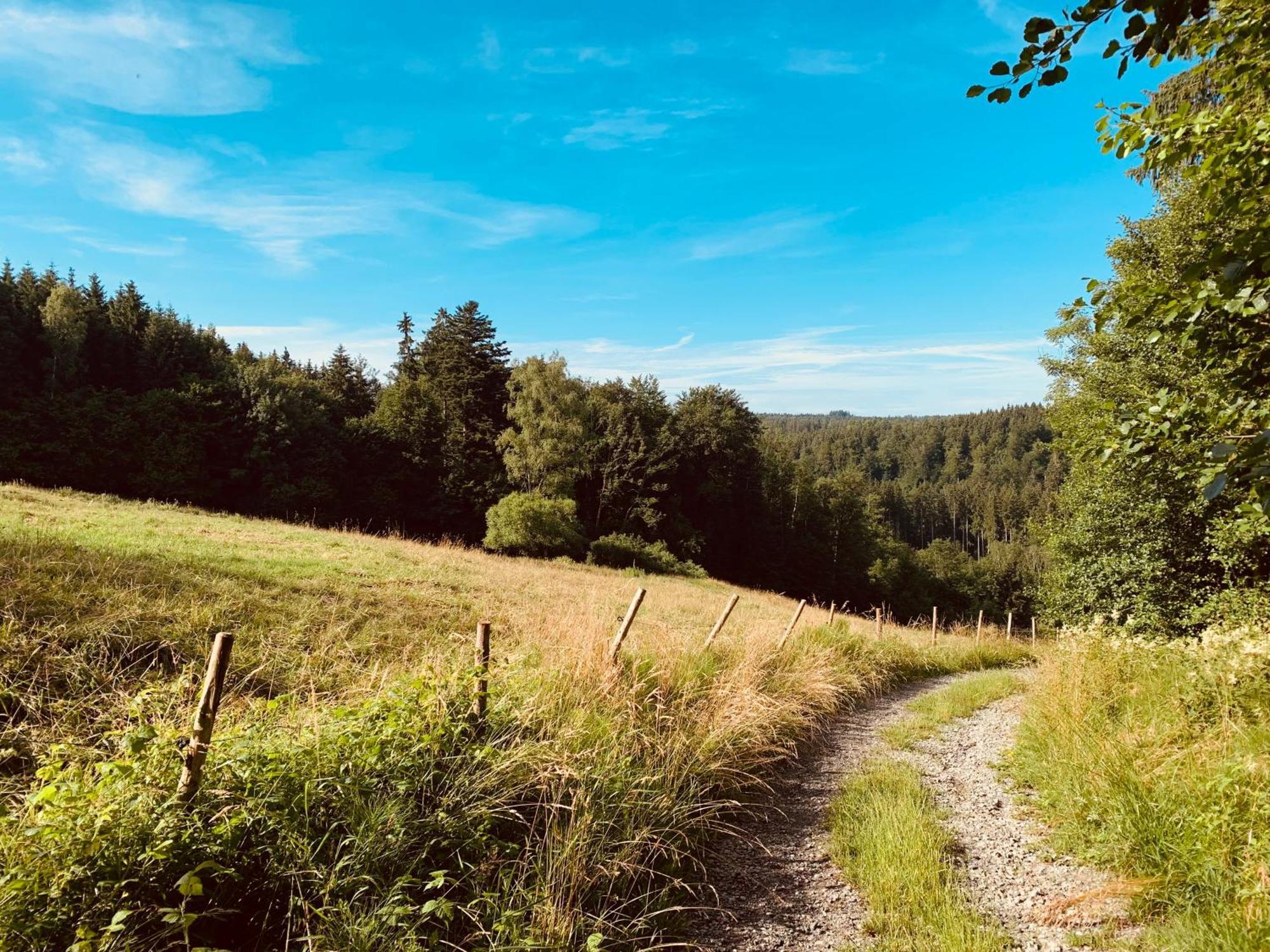 Hjem - Tiny Homes Direkt Am Wald Zwischen Allgaeu & Bodensee Bergatreute Ngoại thất bức ảnh